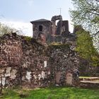 Ruine Hohnstein