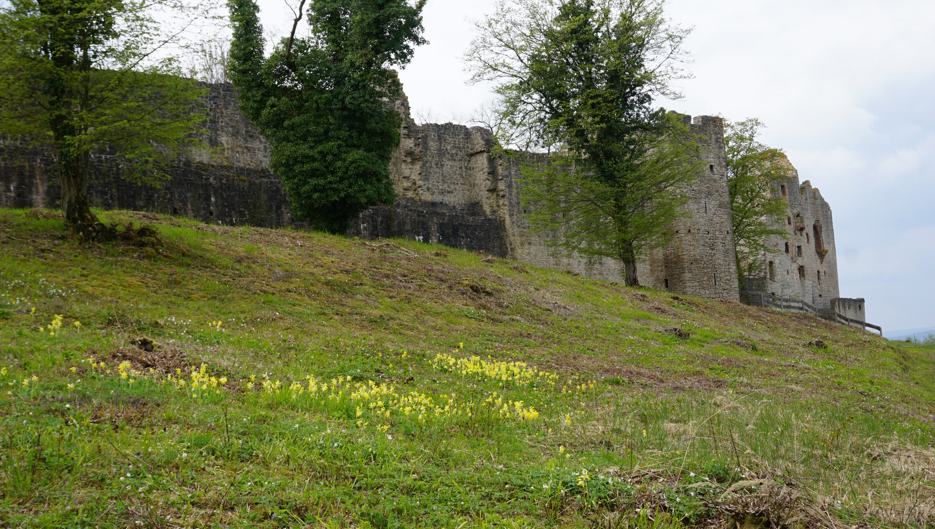 Ruine Homburg