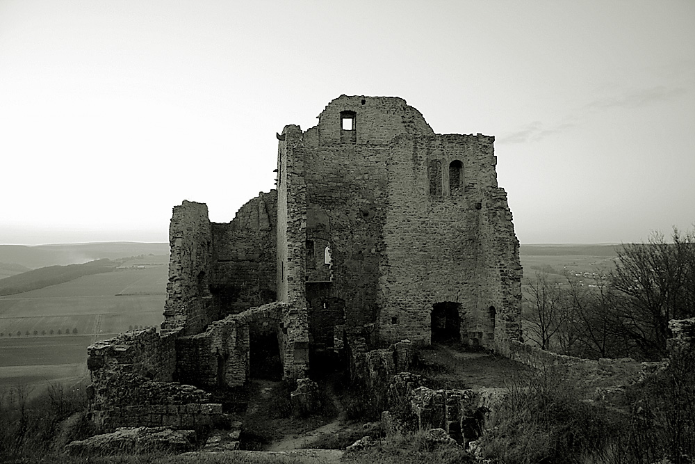 Ruine Homburg I