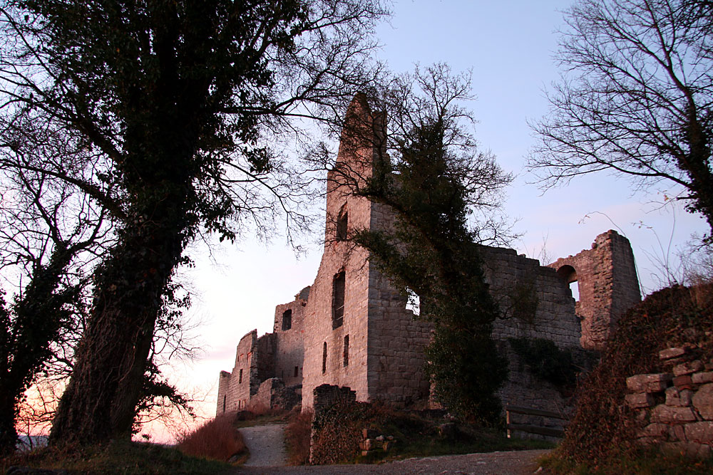 Ruine Homburg II