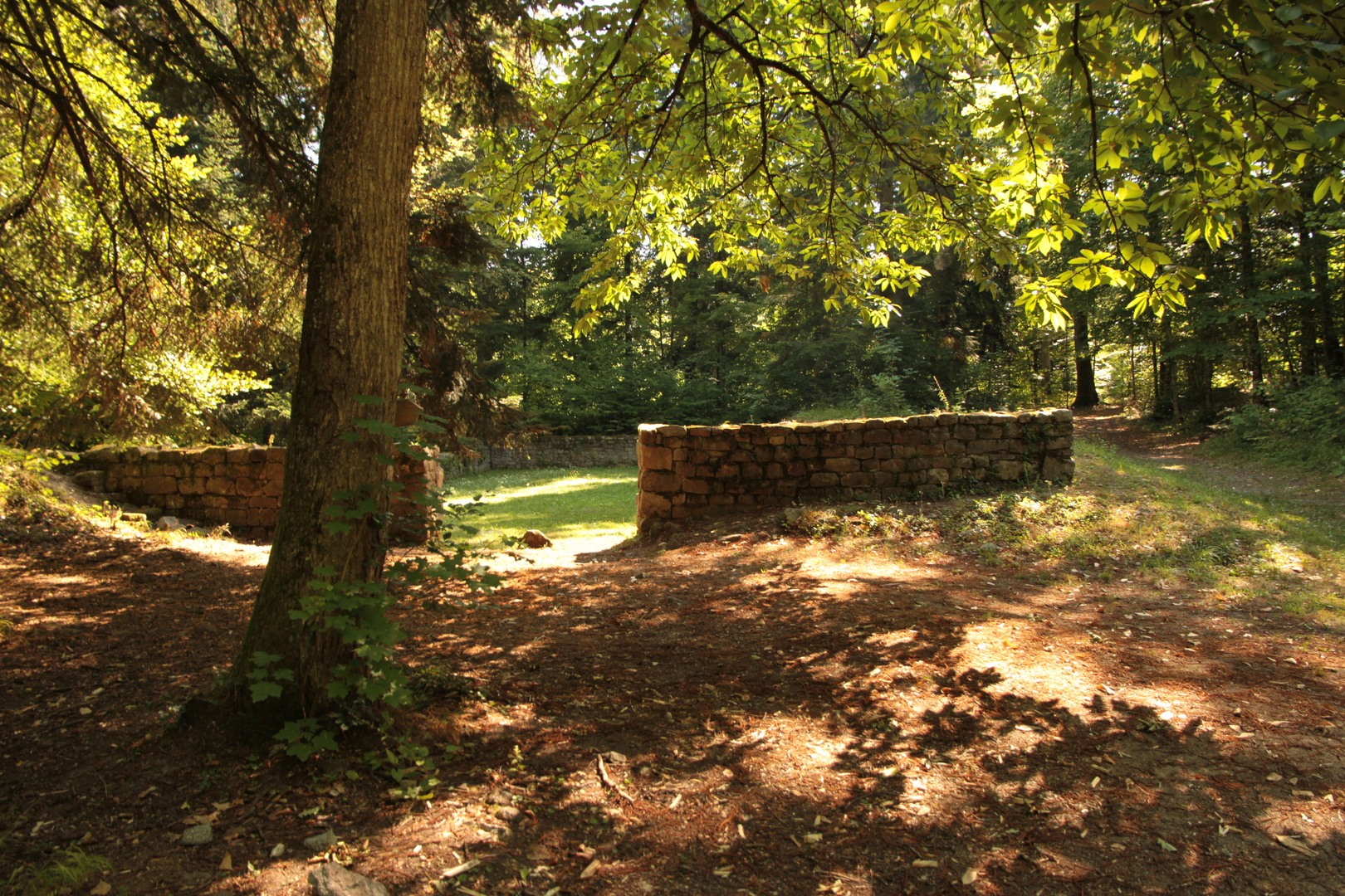 Ruine im Grünen