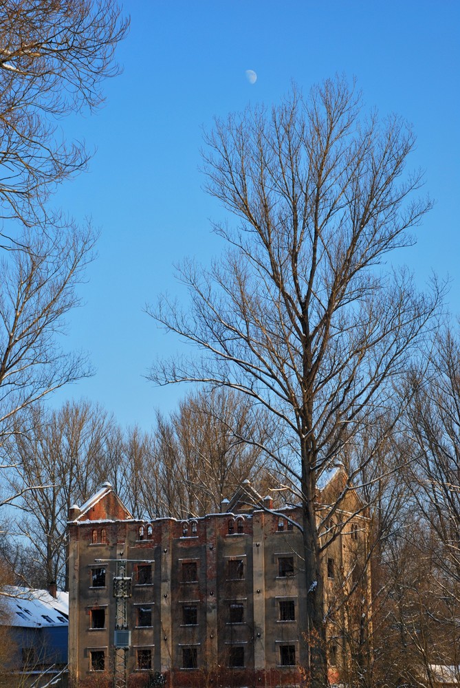 Ruine im Mondschein