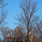 Ruine im Mondschein