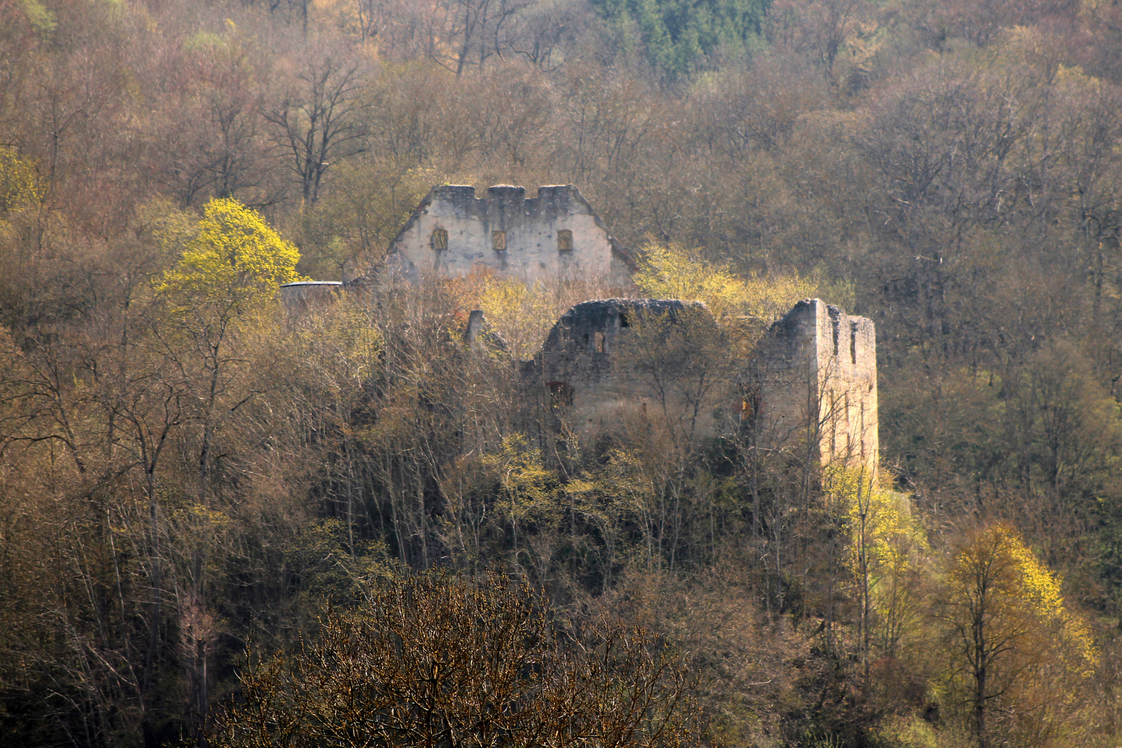 Ruine im Morgenlicht