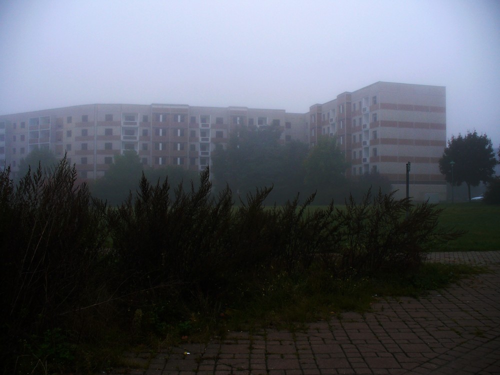 Ruine im Nebel