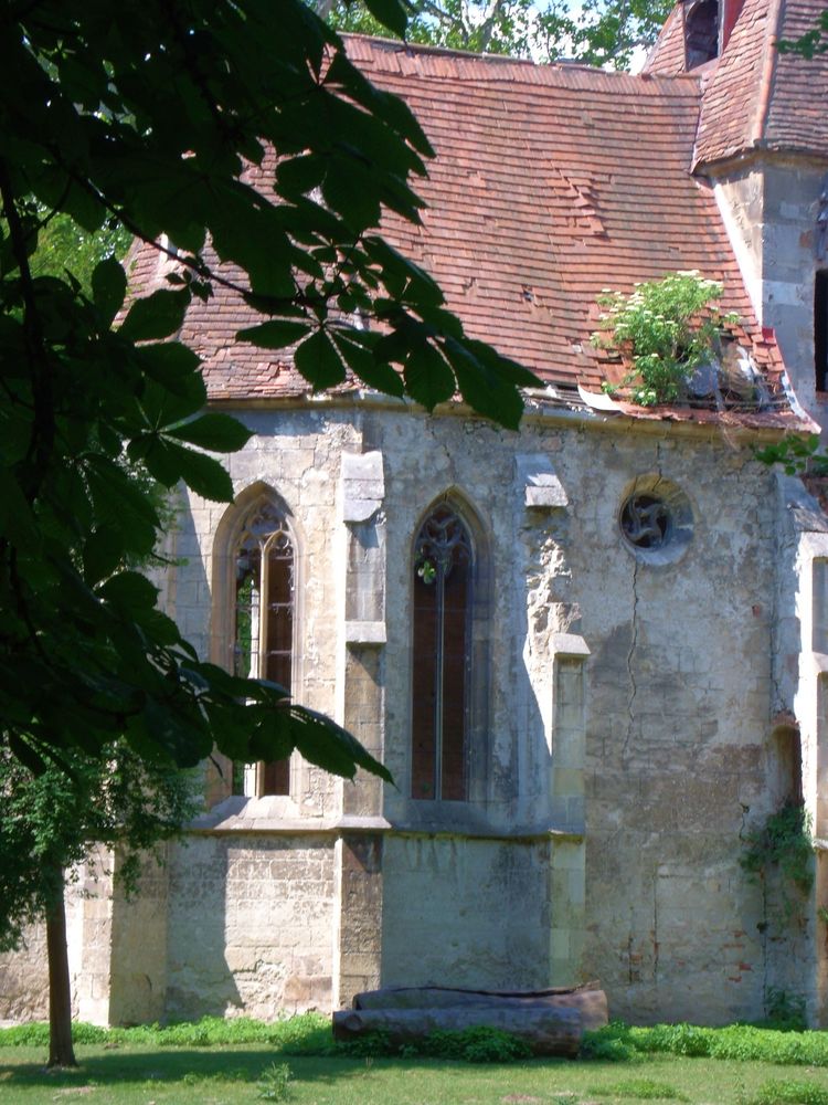 Ruine im Schlosspark in Österreich 1