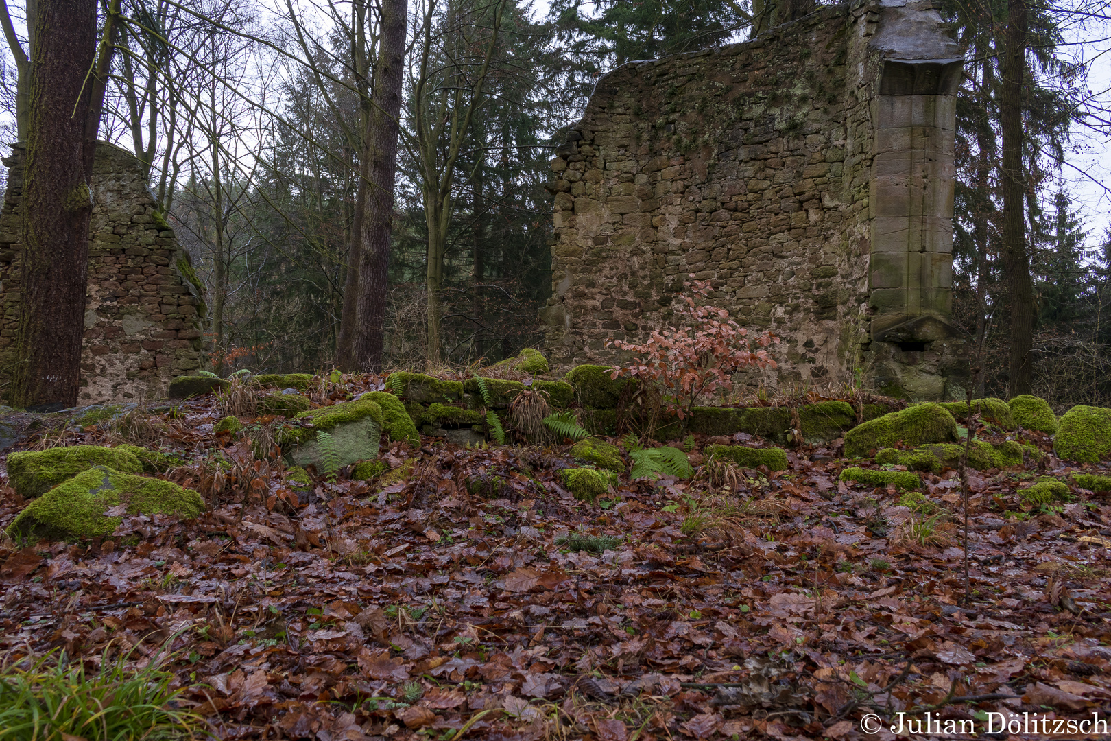 Ruine im Thüringer Wald