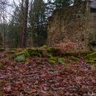 Ruine im Thüringer Wald