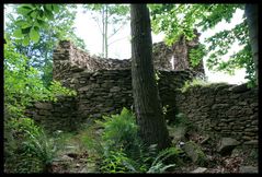 Ruine im Wald