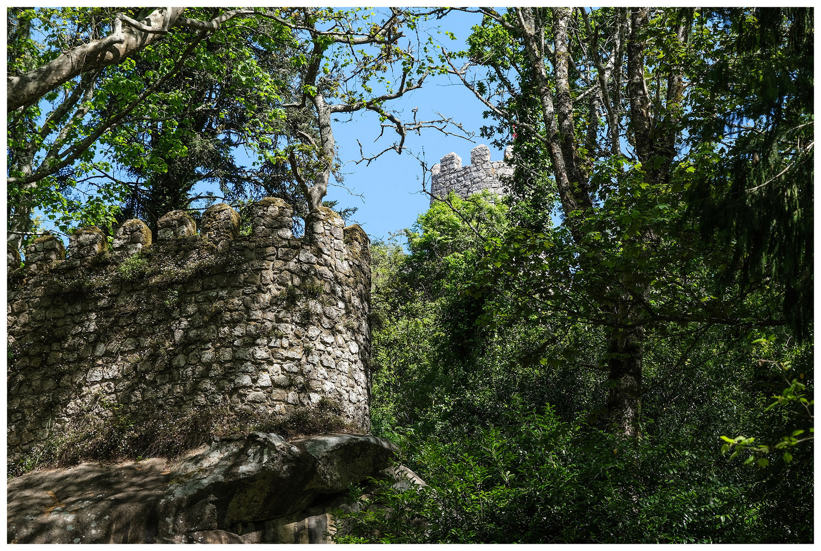 Ruine im Wald