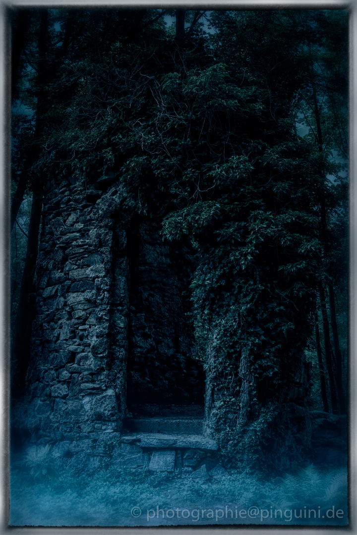 Ruine im Wald