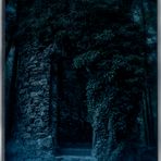 Ruine im Wald