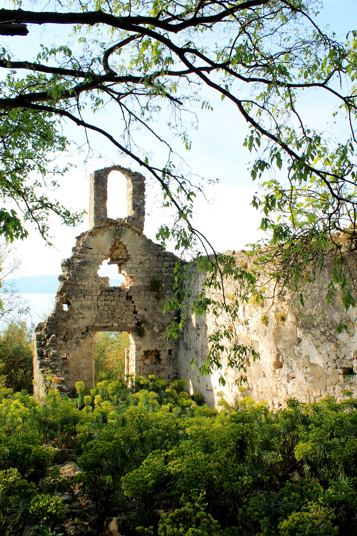 Ruine im Wald