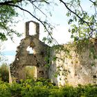 Ruine im Wald