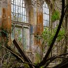 Ruine im Wald