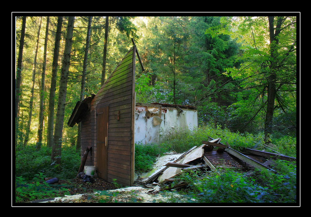 Ruine im Wald