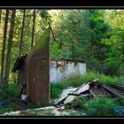 Ruine im Wald