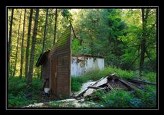 Ruine im Wald