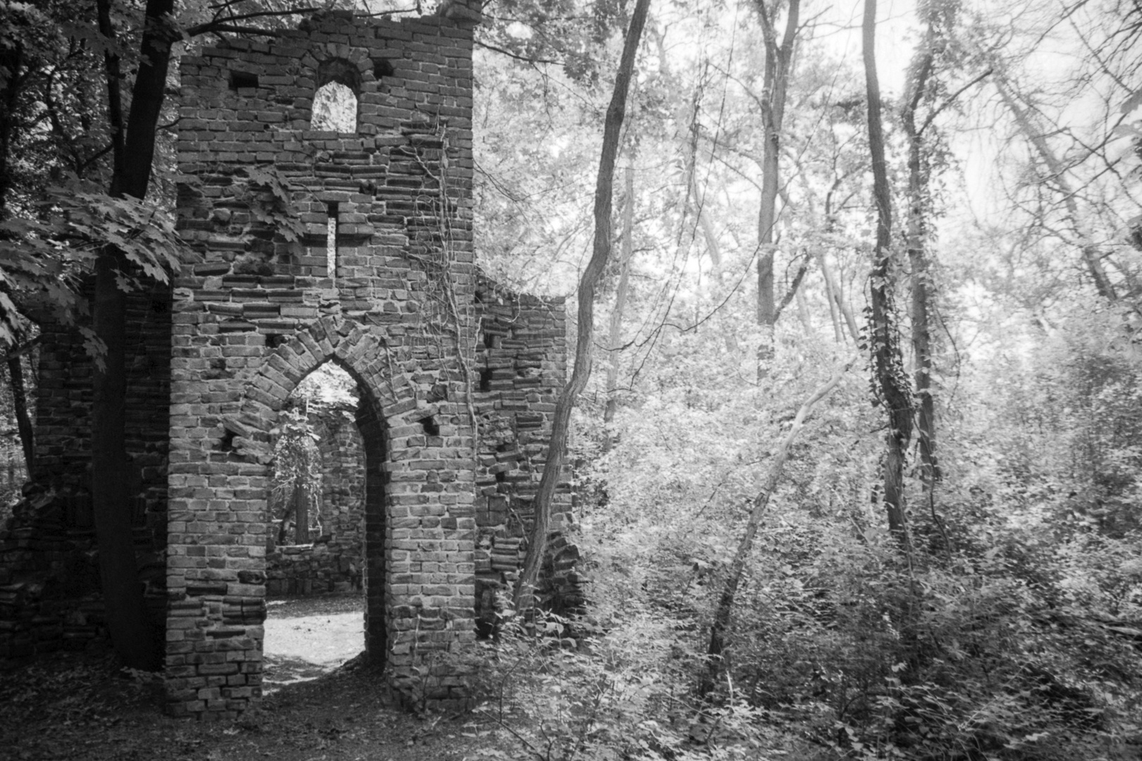 Ruine im Wald