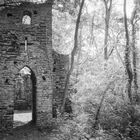 Ruine im Wald