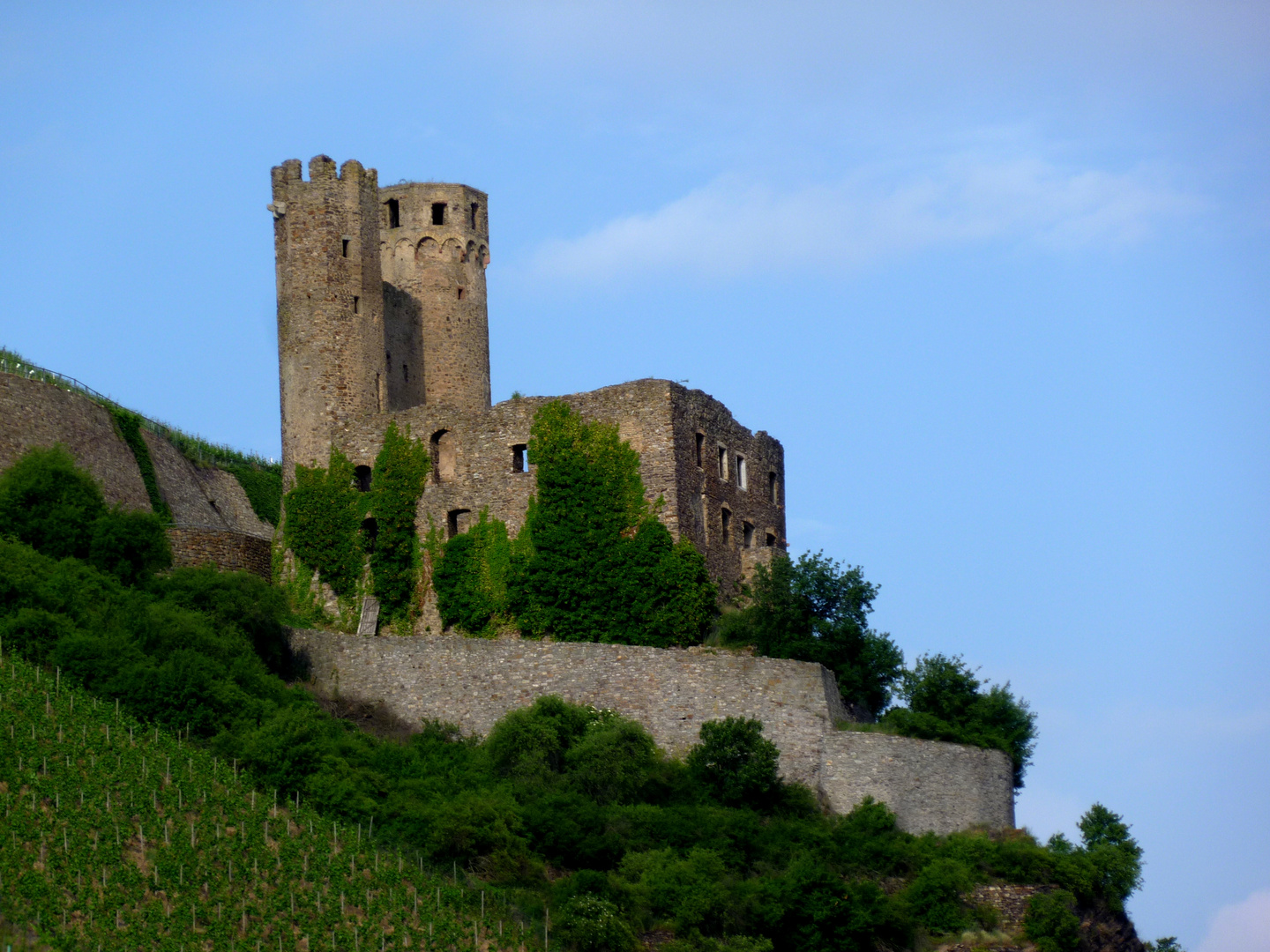 Ruine im Weinberg