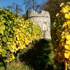 Ruine im Weinberg