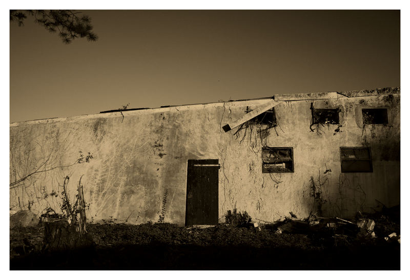 Ruine in Alt-Holz