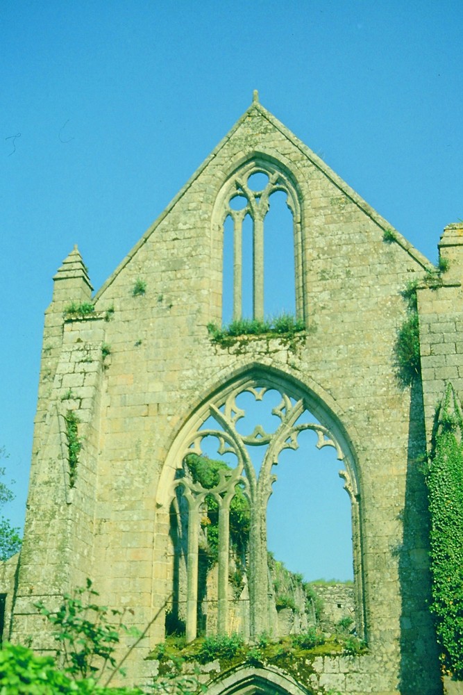 Ruine in Burgund