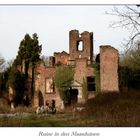 Ruine in den Maasduinen