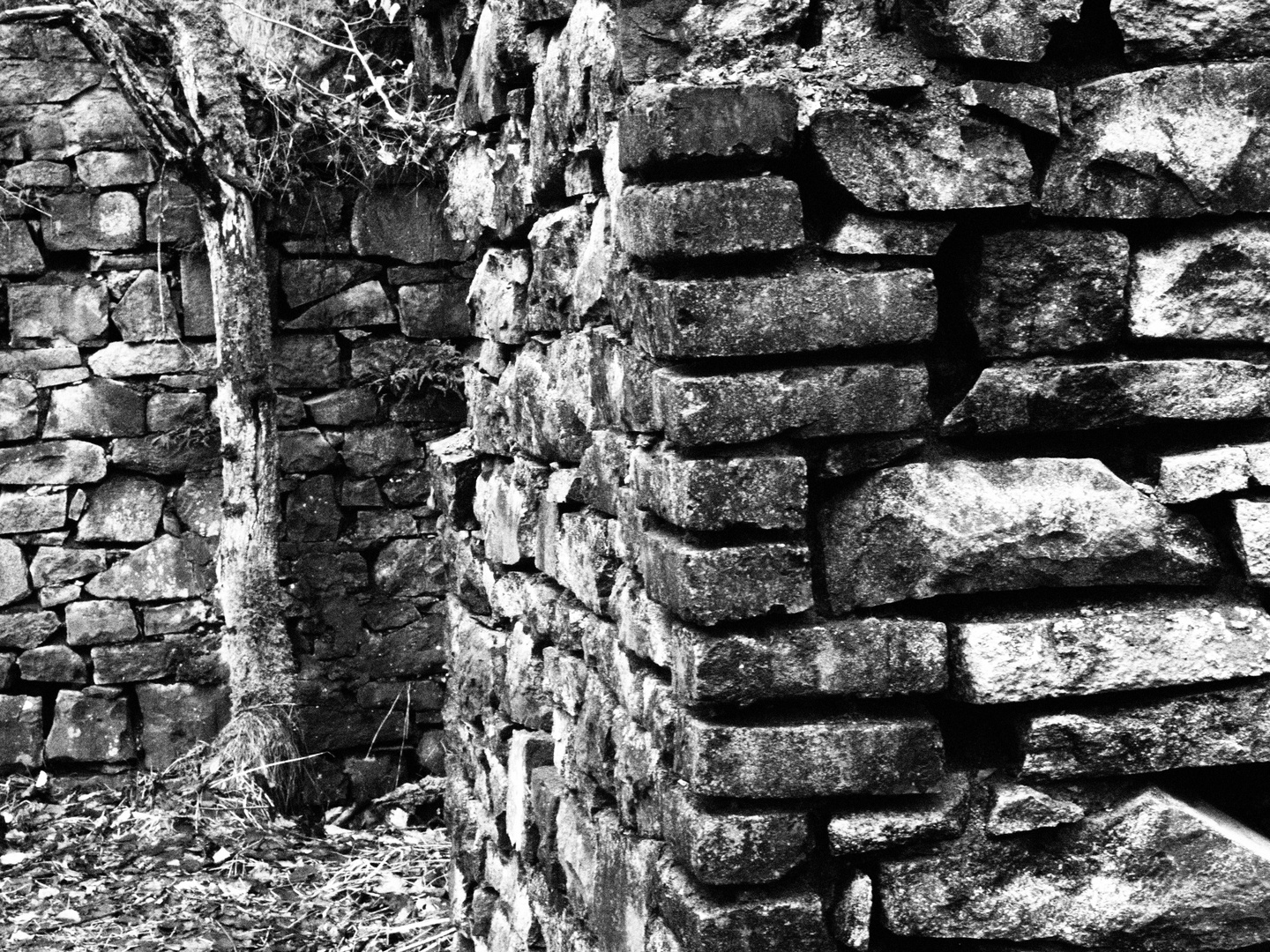 Ruine in der Gemeinde Burbach Siegerland