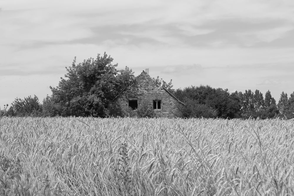 Ruine in der Prärie