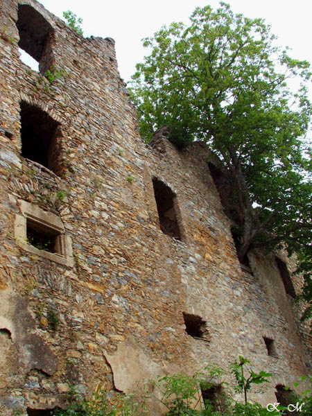 Ruine in Österreich von Katrin Monsberger