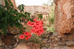 Ruine in Sougia 2