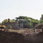 Ruine (Indien-Old Goa)