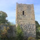 Ruine Kallenberg