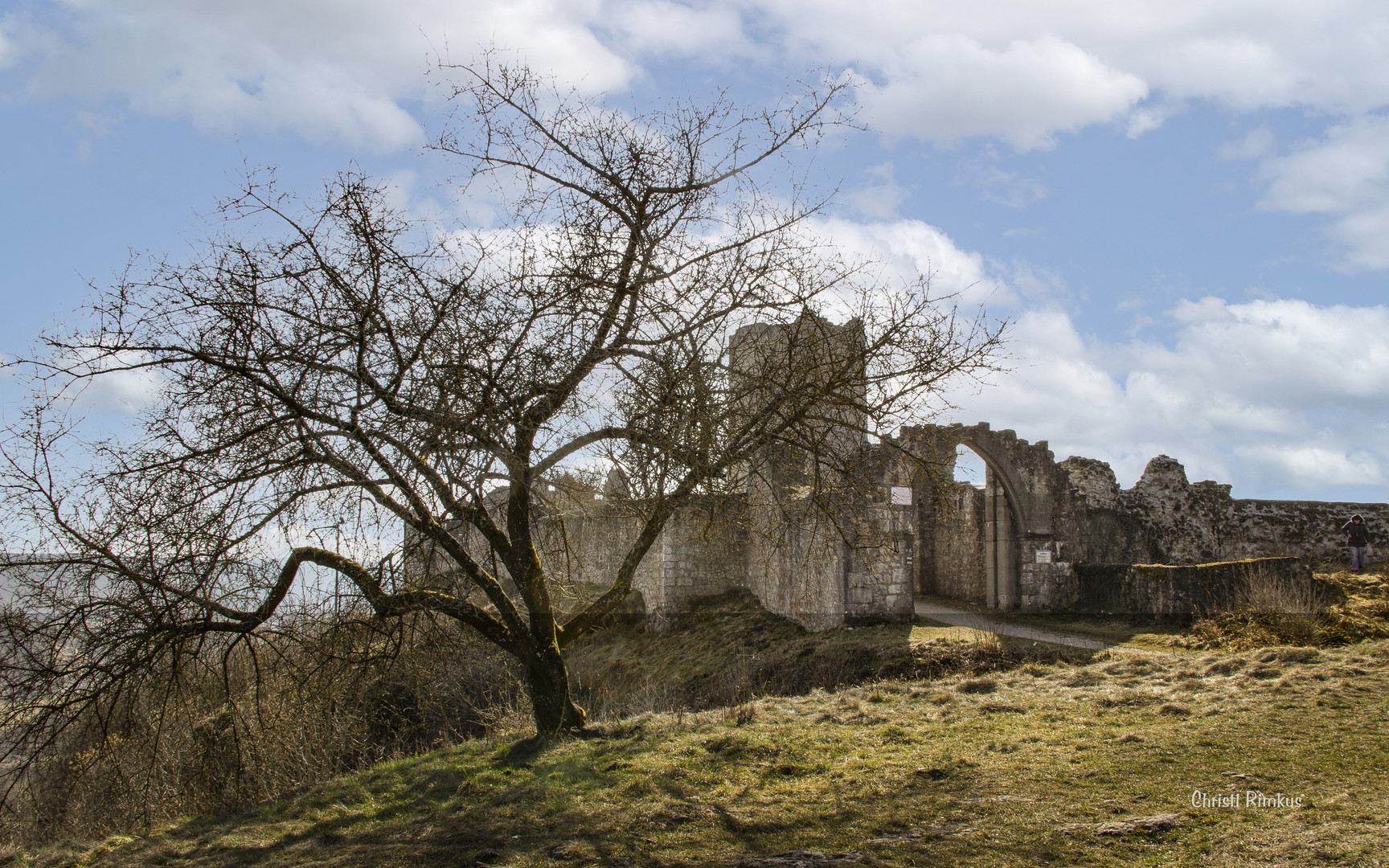 Ruine Kallmünz - Oberpflalz