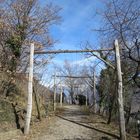 Ruine Kasatsch, 444 m