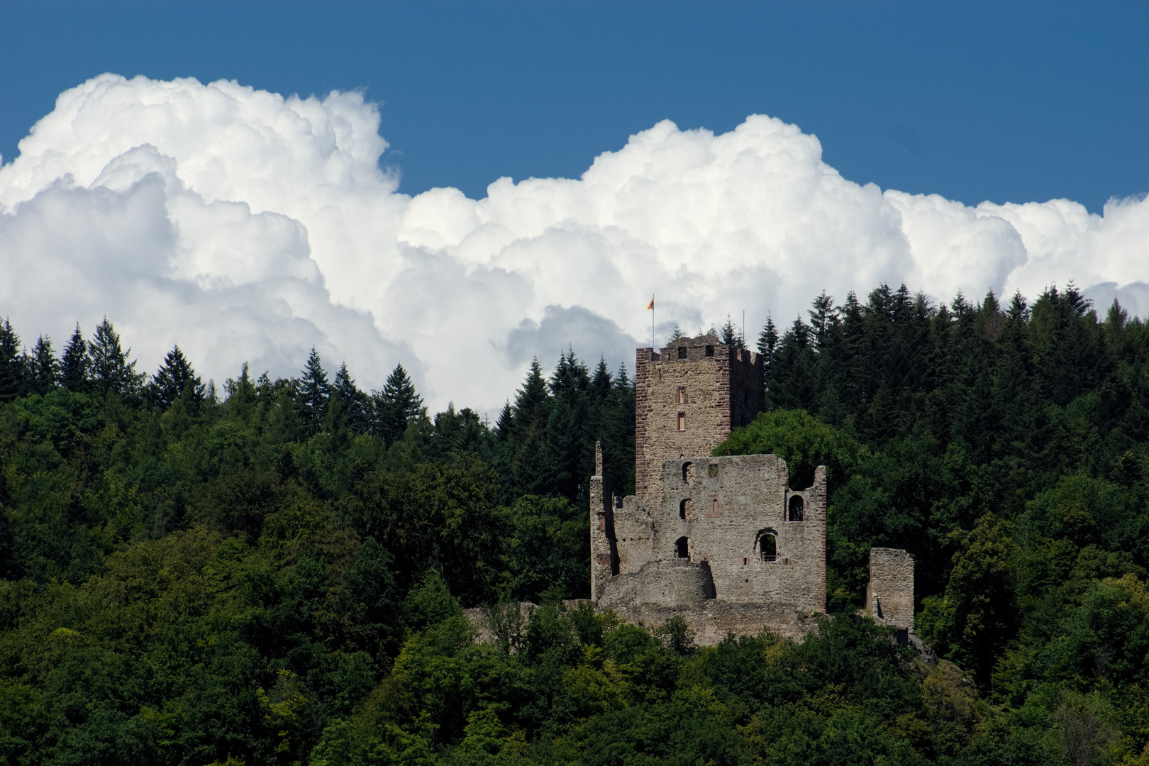 Ruine Kastelburg in Waldkirch