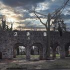 Ruine Kirche Loburg