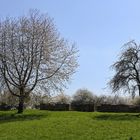 Ruine Klinger Kirche (2019_04_18_EOS 100D_4617_ji)