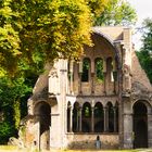 Ruine Kloster Heisterbach - Chor