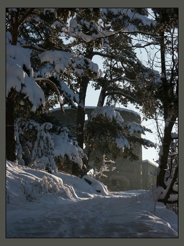 Ruine Kollmitz 2