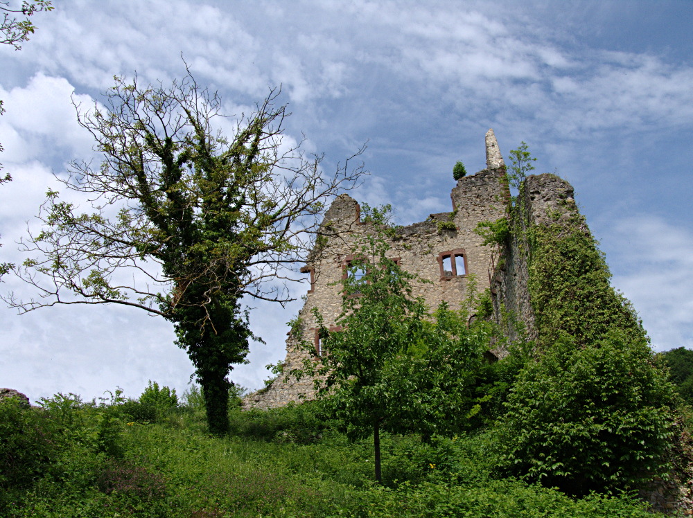 Ruine Landeck