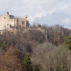 Ruine Landsee (Burgenland)