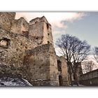 Ruine Landsee im Winter