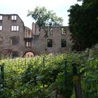 Ruine Landskrone Oppenheim