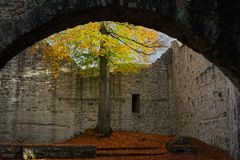 Ruine Leofels