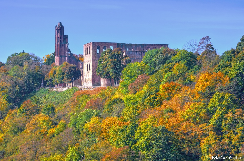 Ruine Limburg im Herbstmantel