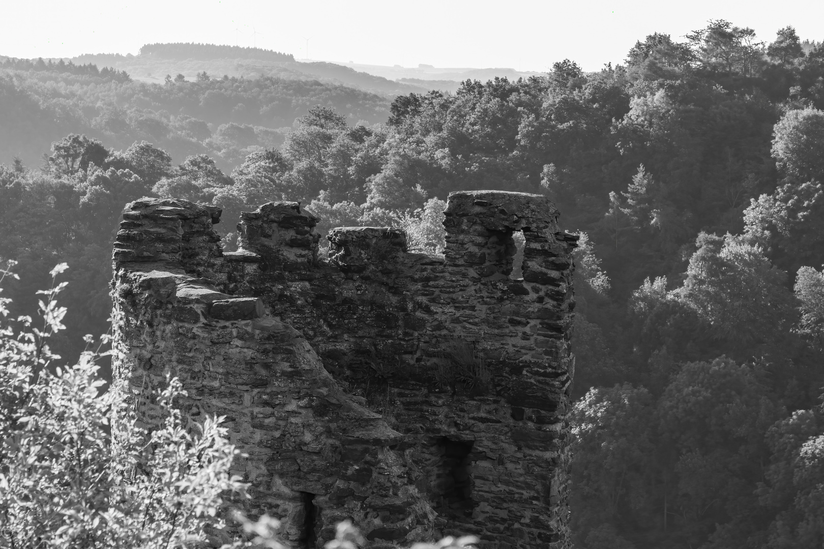 Ruine Löwenburg 1