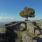 Ruine Löwenburg